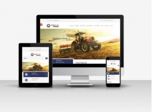 Kurumsal Firmalar İçin Çift Dilli Web Sitesi Scripti