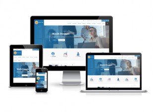 Hazır Web Sitesi - Ladin 