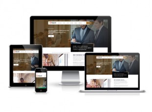 Hazır Web Sitesi - Andız